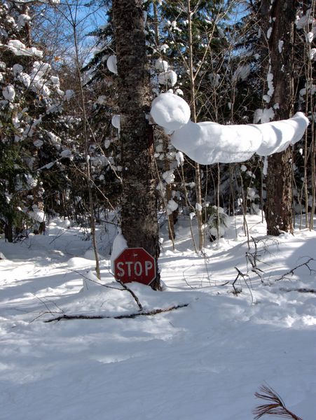 The stop sign almost buried in snow.