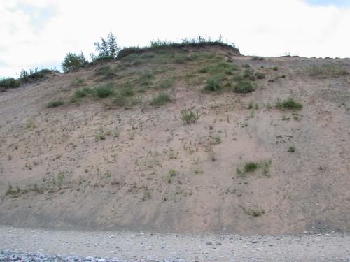 Looking up the dunes from the beach.