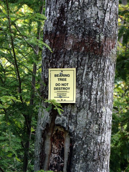 Sign found on a tree along Old Seney road.