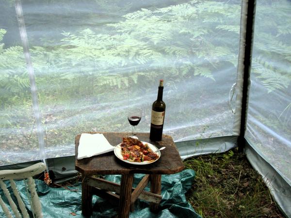 Pizza and wine for dinner in the screened shelter.