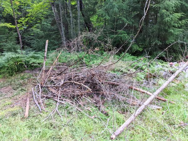 Pile of wood collected from along the driveway. There is a lot more to collect and burn!