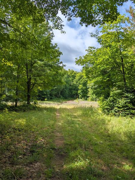 Trail along big loop.