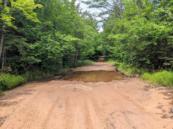 Big puddle along old 443. Not as big as usual.