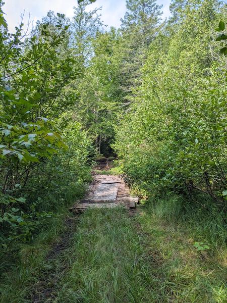 Bridge over the North Branch of the Two Hearted river.