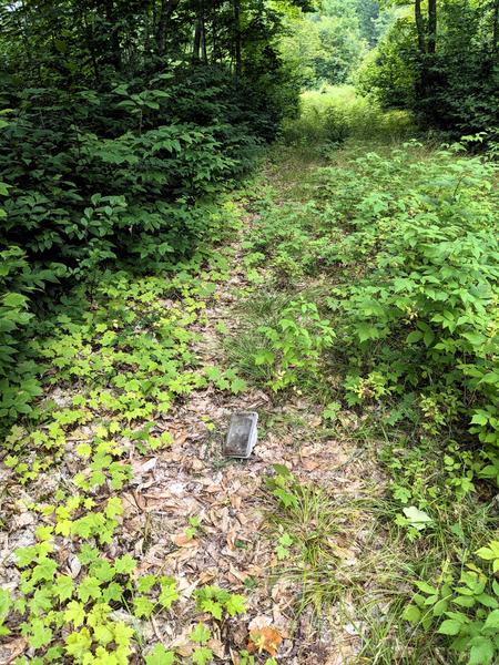 Lost headlight on the path around the southern end of the North Branch of the Two Hearted River.