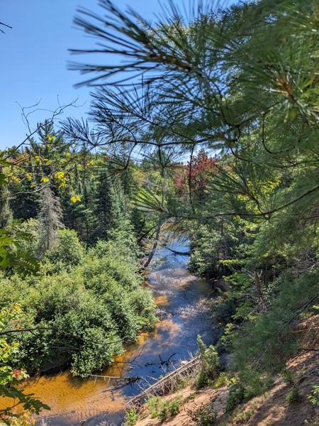 Sucker river seen from a cliff.