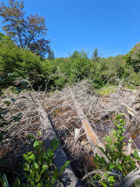 Bridge across the Sucker river?