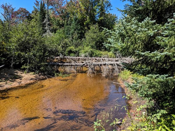 Bridge across the Sucker river?