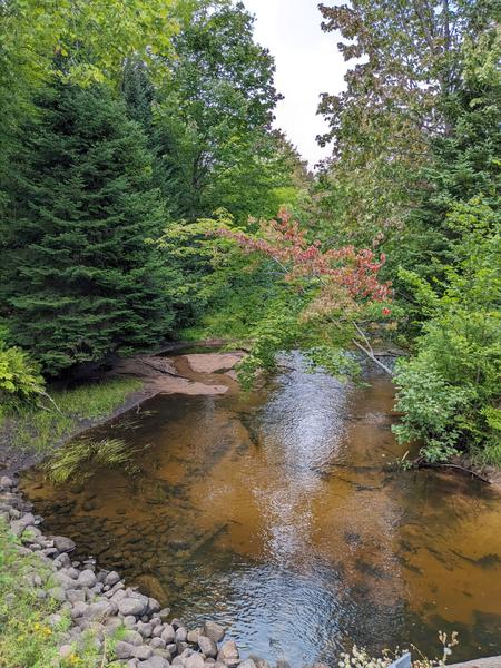 Sucker river as seen from the fancy bridge on Old Seney.