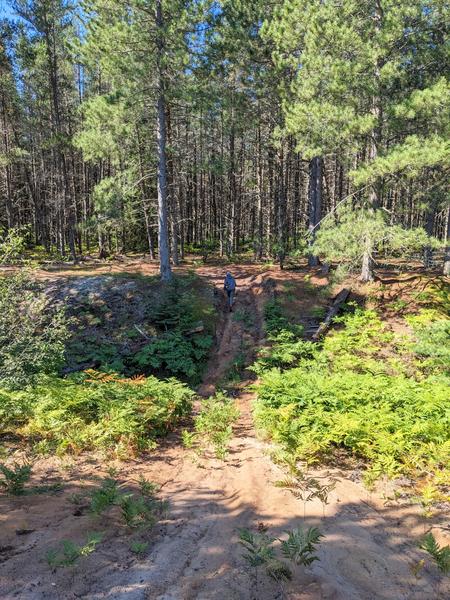 Path through a (seasonally) dry, sandy gulch. Could the Bronco make it through?