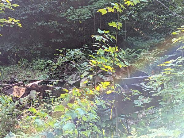 Ruined railroad car in the woods on the other side of McCloud Grade.