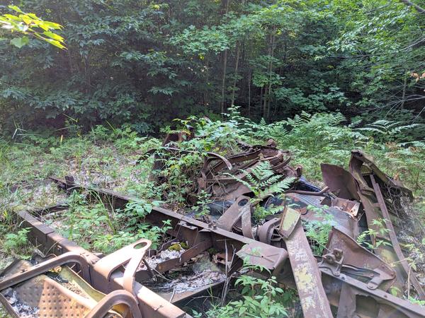 Ruined railroad car in the woods on the other side of McCloud Grade. (There is a chipmunk in the wreckage at the middle of the photo.)