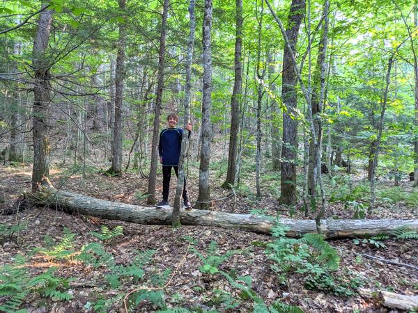 Frank with the big dead tree we pulled down.