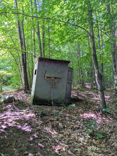 Old deer blind in the woods.