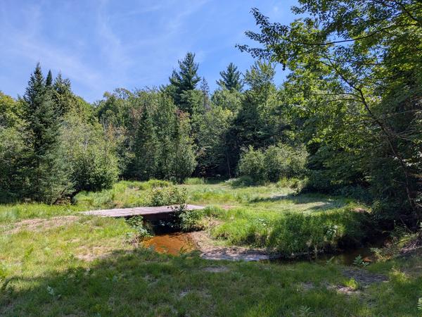 Bridge over a creek at the camp in the woods.