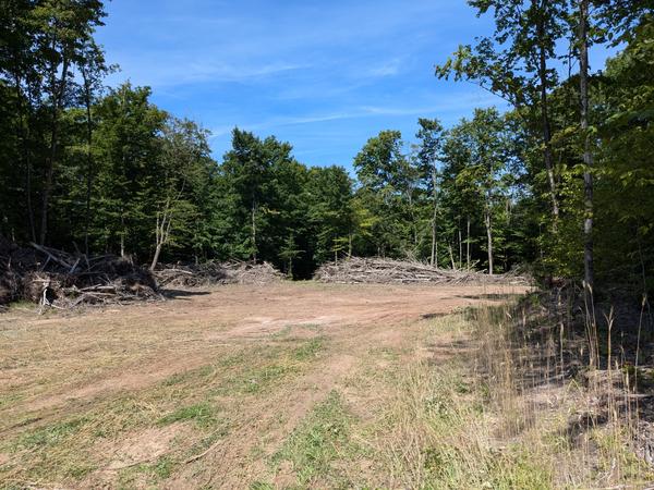 Large field cleared near the camp in the woods.