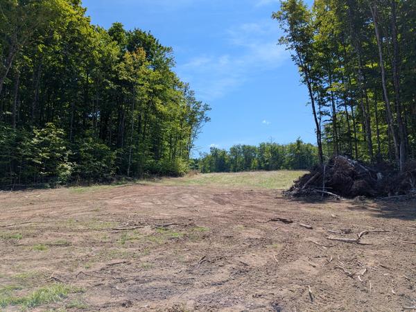 Another view of the large field cleared near the camp in the woods.