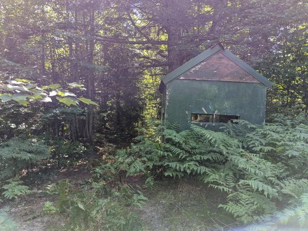 Another deer blind in the woods along a rarely used old logging road.