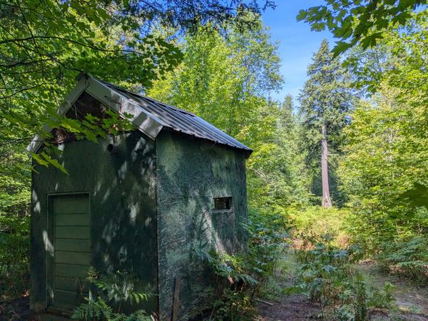 Back of the deer blind along the rarely used logging road. A vent pipe for the wood stove is visible.