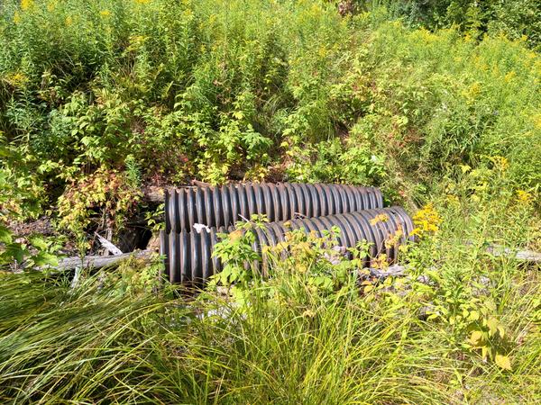 Large pipe segments used as a bridge to cross a creek (with very little water this time of year).