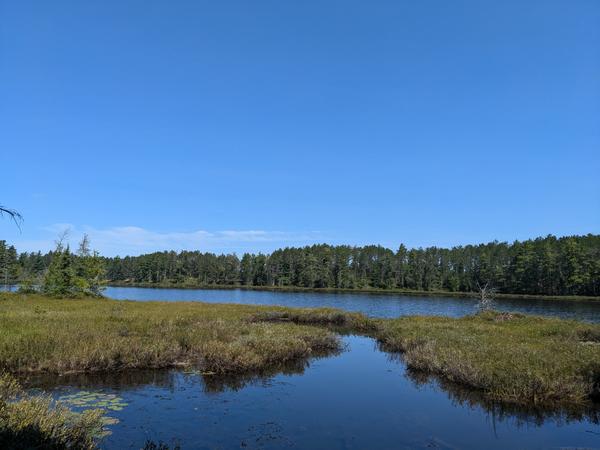 First view of Barfield Lakes.