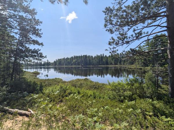 One of the Barfield Lakes from the ridge.