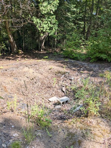 All that remains of the old camp south east of the Sucker River just off Old Seney.