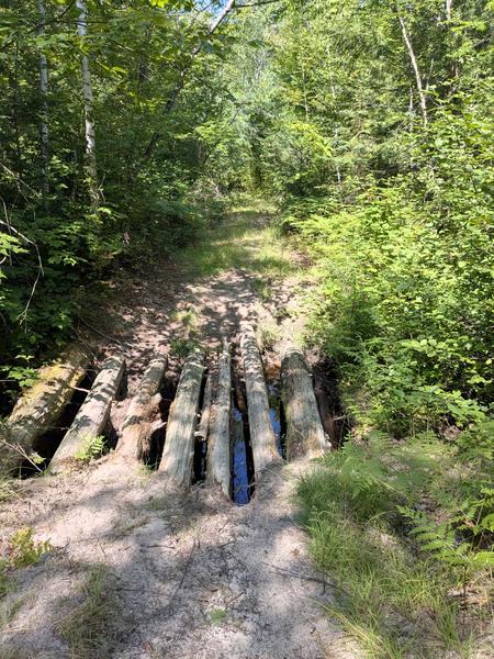 Logs that may have once been a bridge over Haverstock Creek along a road on the north of the Sucker River and west of Old Seney.