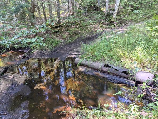 Another small creek crossing along the remnants of a logging road north of the Sucker River and west of Old Seney.