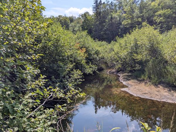 A possible point to wade across the Sucker River to the sand bar on the other side.