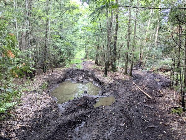 Another mud hole (where the Bronco got stuck).