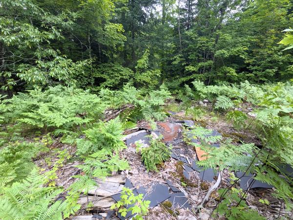 Remains of the ruined camp near the North Branch of the Two Hearted River.