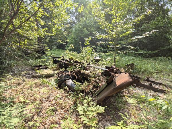 The ruined trucks in the woods.