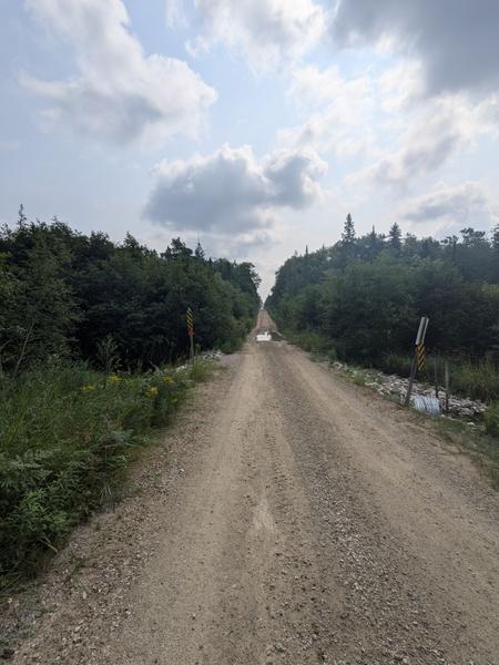 Harvey Creek crossing on McCloud Grade. There is a grouse just past the puddle.