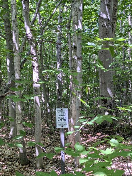 Survey marker sign near Sitka Lake.