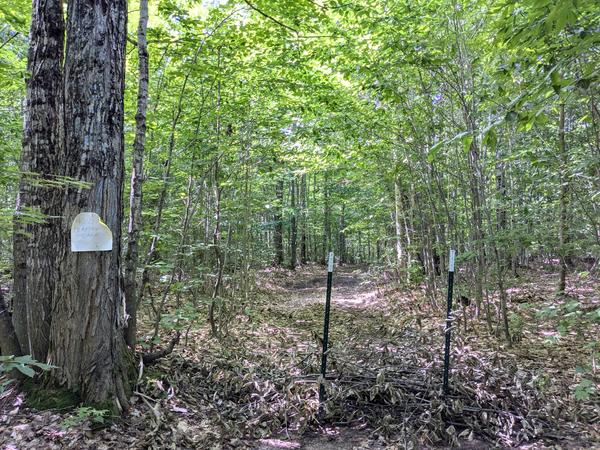 Barrier restricting foot access only to Sitka Lake at site of ruined camp.