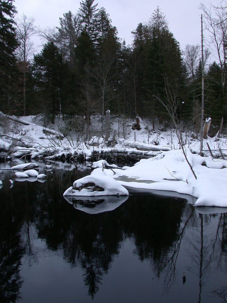River behind the cabin (taken from on top of a beaver dam).