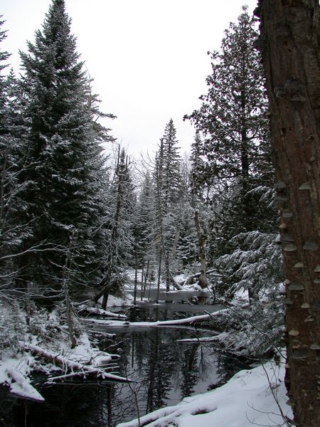 River near the cabin after a light snow.