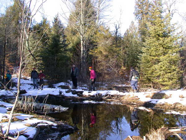 Vittoria, Bill, Amelia, John, Katie, and Jon near the
		  beaver dam.