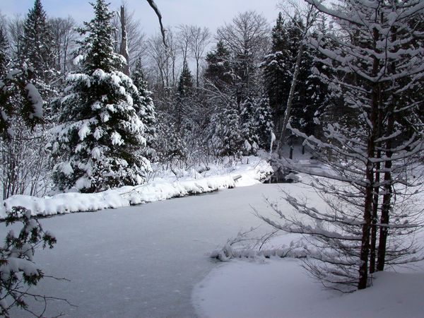 River behind the Cabin.