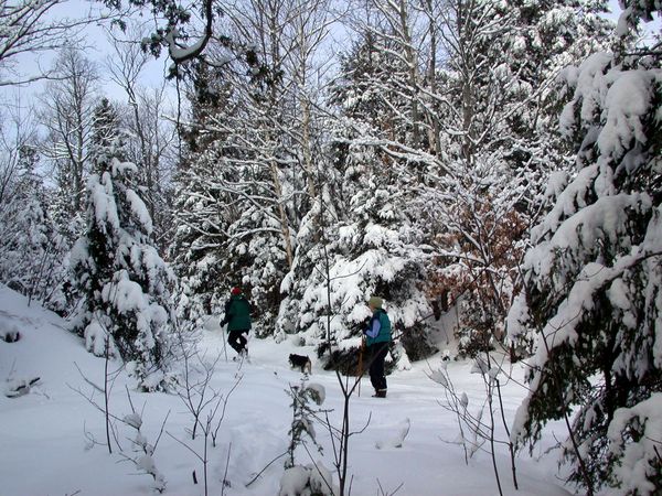 Bill, Abby and Vittoria snowshoeing.