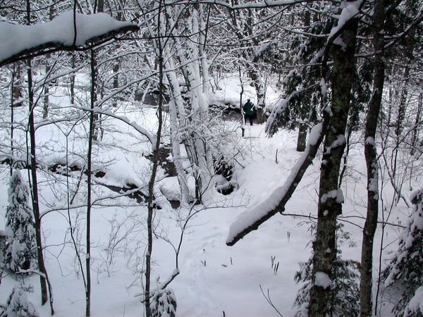 Sucker river (Bill near the river).