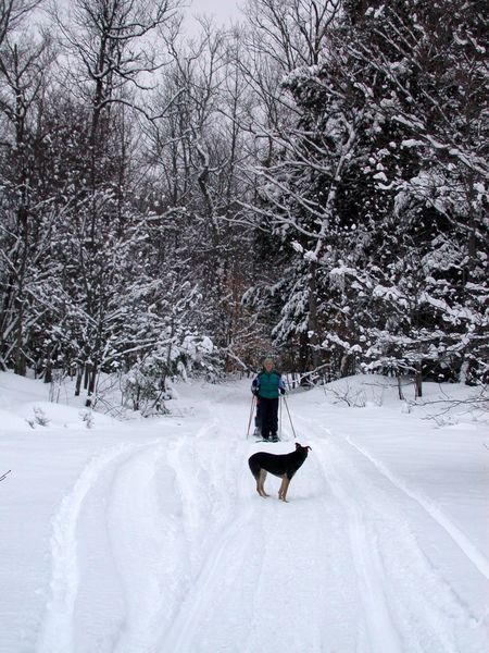 Abby waiting for Vittoria and Jon to catch up while
	   snowshoeing.