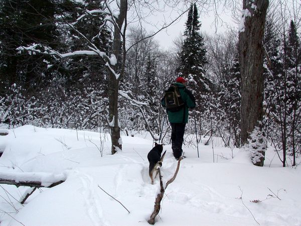 Bill and Abby snowshoeing.