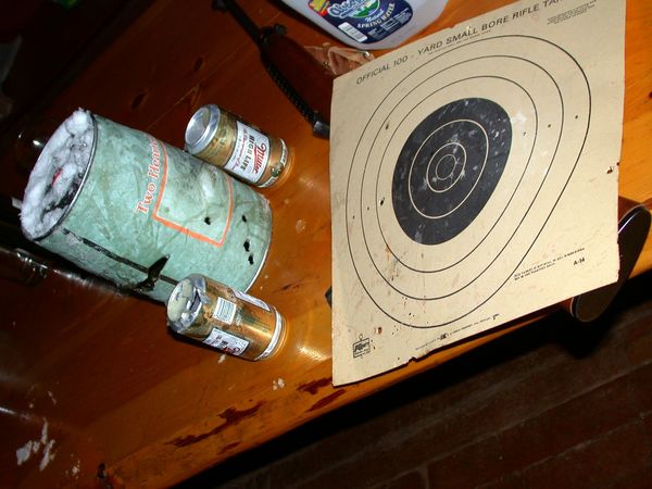 The slightly shot up beer cans and the barely shot up
		target from Bill and Jon's "target practice".