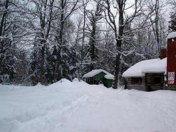 Around the Cabin in the snow.