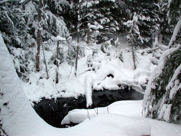 Creek near the Cabin.