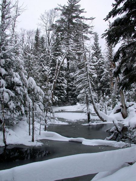 Creek near the Cabin.