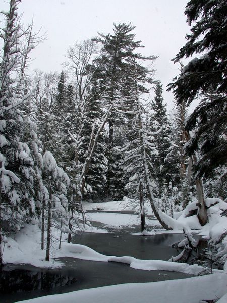 Creek near the Cabin.