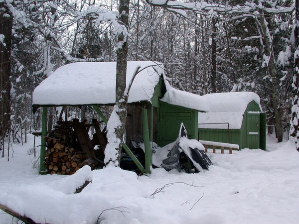 Sheds and wood pile.